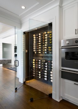 Handsome-Glass-Fridge-house-designs-Contemporary-Wine-Cellar-New-York